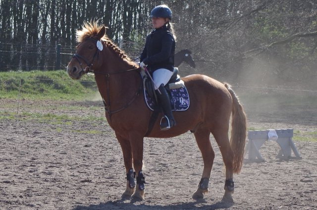 Reitertag_2019